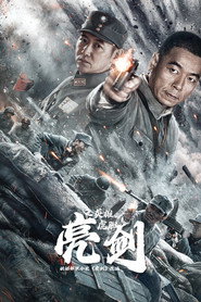 亮剑之英雄虎胆 封面