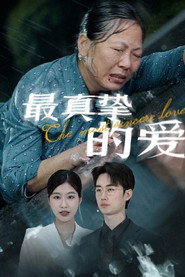 最真挚的爱 封面