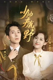少帅夫人有点野 封面
