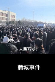 蒲城事件 封面