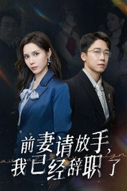 前妻请放手，我已经辞职了 封面