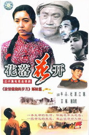 花落花开 封面