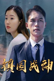 镇国战神 封面