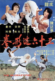 三十六迷形拳 封面