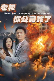 老板你公司炸了 封面