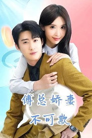 傅总娇妻不可欺 封面