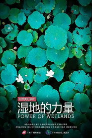 湿地的力量 封面