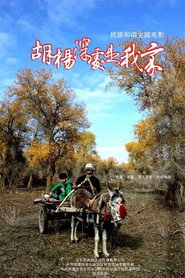 胡杨深处是我家 封面