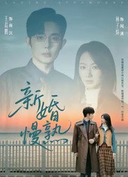 新婚慢熟 封面