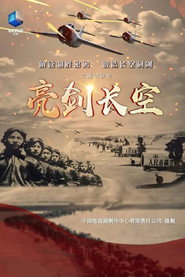 亮剑长空 封面