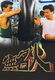 无名火 封面