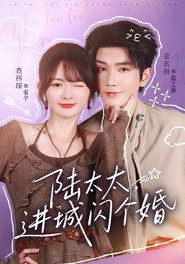 陆太太，进城闪个婚 封面