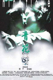 青花 封面