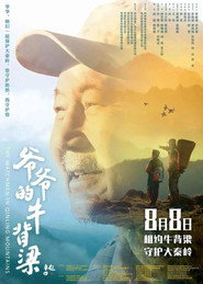 爷爷的牛背梁 封面