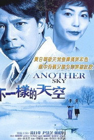 不一樣的天空 封面