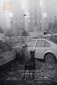 伤寒杂病论 封面