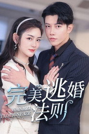 完美逃婚法则 封面