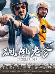 飙风老爹 封面
