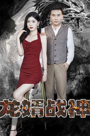 龙婿战神 封面