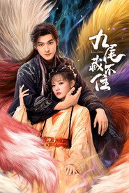 九尾藏不住 封面