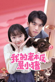 我的老板是小猪 封面