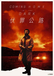 在黑暗中回家 封面