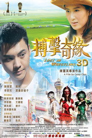 搏击迷城 封面