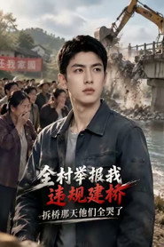 全村举报我违规建桥,拆桥那天他们全哭了 封面