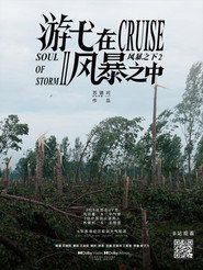 游弋在风暴之中 封面