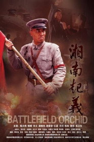 湘南起义 封面
