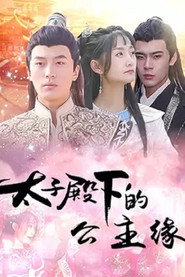 太子殿下的公主缘 封面