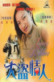 大盗情人 封面