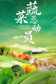 蔬菜总动员 封面