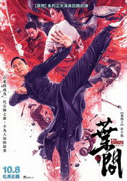 宗师叶问 封面
