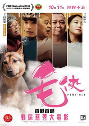 毛侠 封面