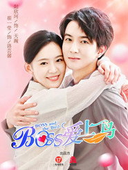Boss爱上鸟 封面