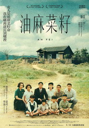 油麻菜籽 封面