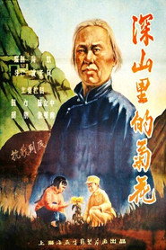 深山里的菊花 封面
