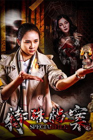特殊档案 封面