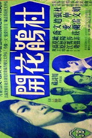 杜鵑花開 封面