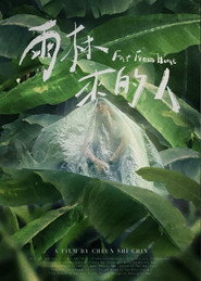 雨林来的人 封面