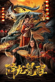 降龙觉醒 封面