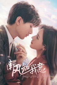 南风知我意 封面