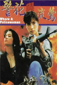 警花与流莺 封面
