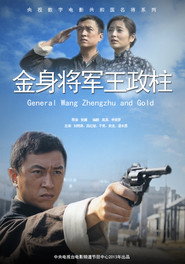 金身将军王政柱 封面