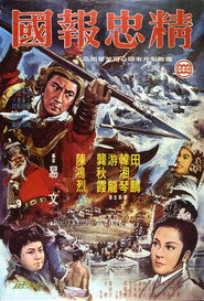 精忠报国 封面