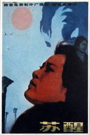 苏醒 封面