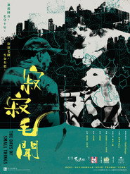 寂寂毛聞 封面