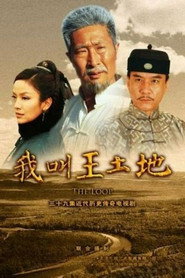 我叫王土地 封面