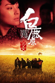 白鹿原 封面